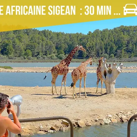 Clair Et Spacieux Ideal Pour 4 Personnes * Gruissan